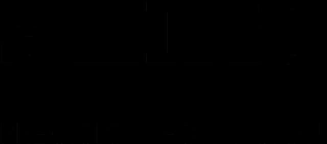 Logo Seiko - Verres progressifs Made in France Origine France Garantie - Optique Queuleu Metz